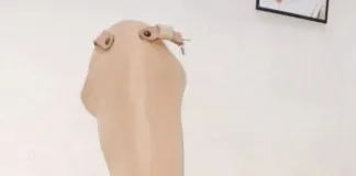 INILAH KRITERIA KAKI PALSU YANG BAIK INILAH KRITERIA KAKI PALSU YANG BAIK